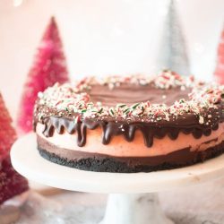 straight on shot of peppermint ice cream cheese cake on a tray