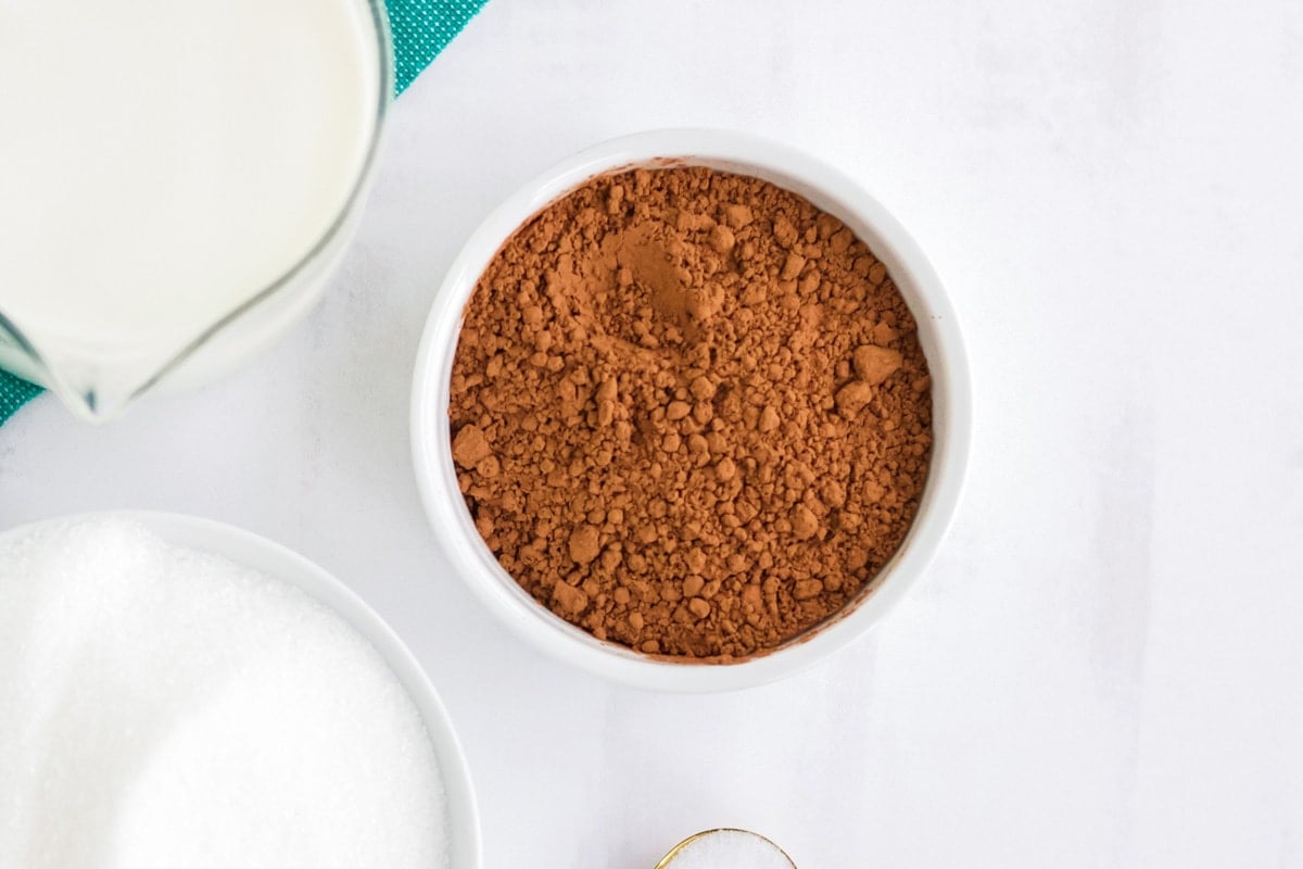 small white bowl of cocoa powder 