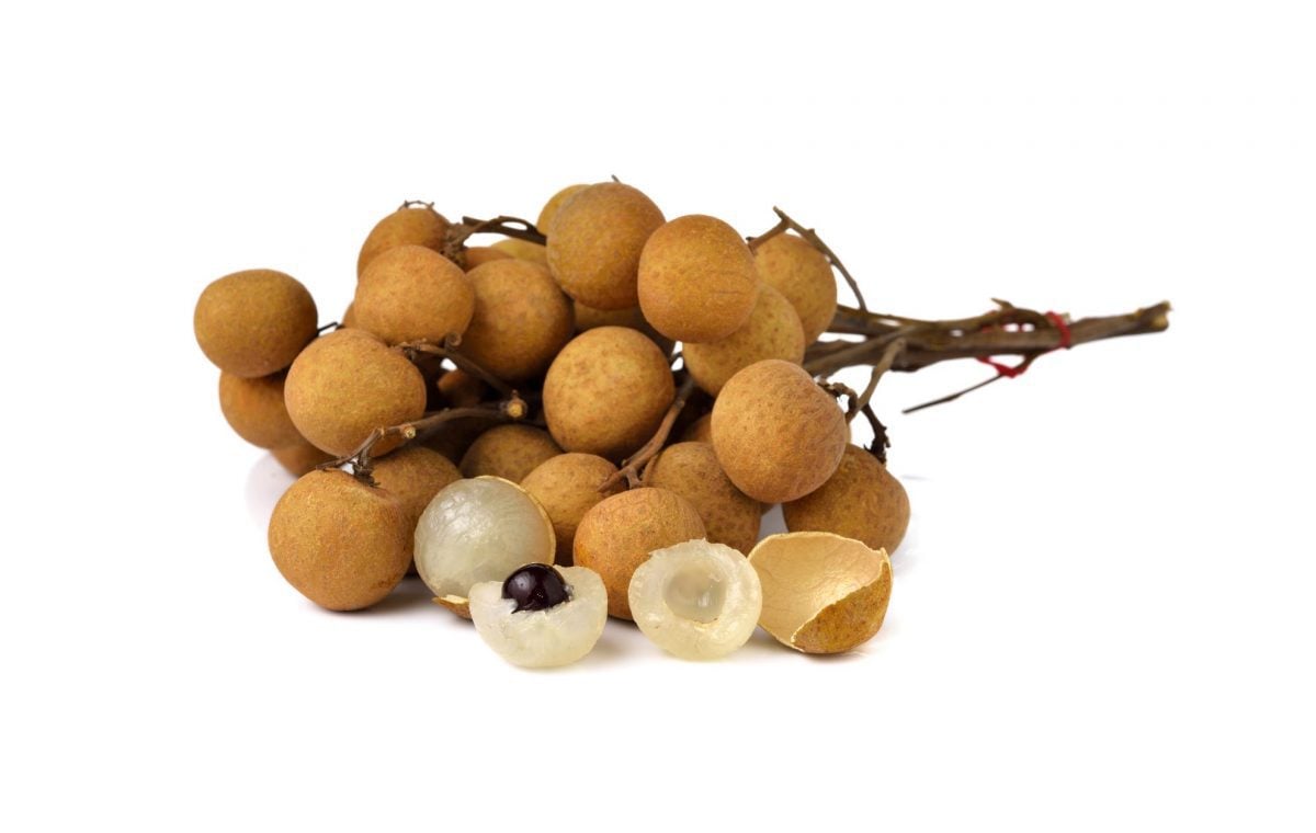 longan fruit on a branch and cut open with a pit 