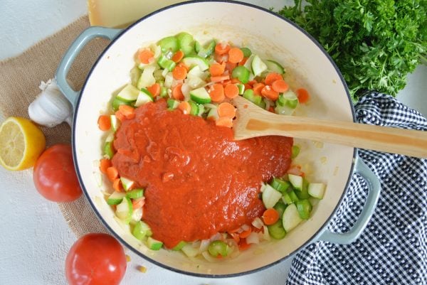 pasta sauce in minestrone soup
