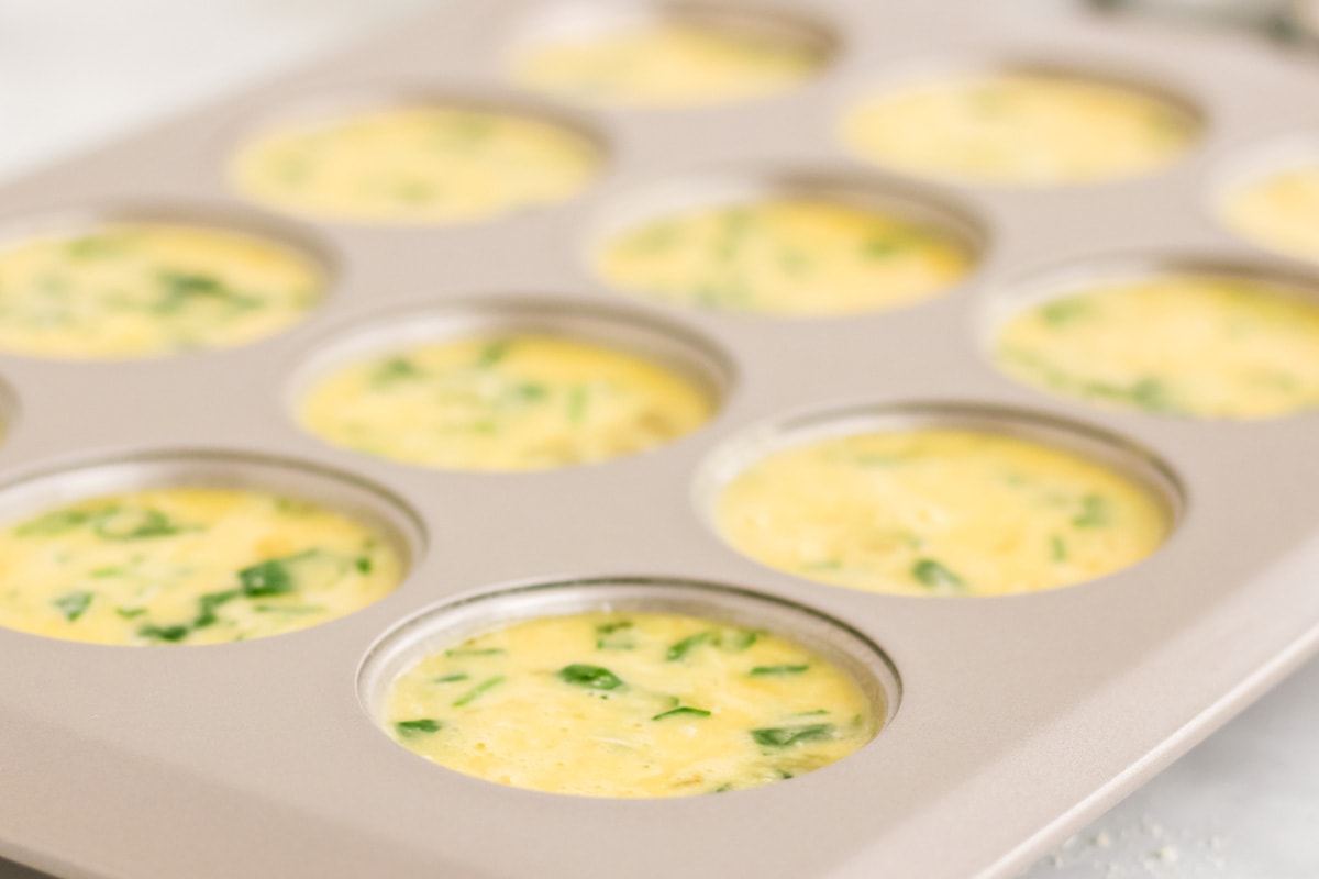 egg florentine mixture in egg cups 