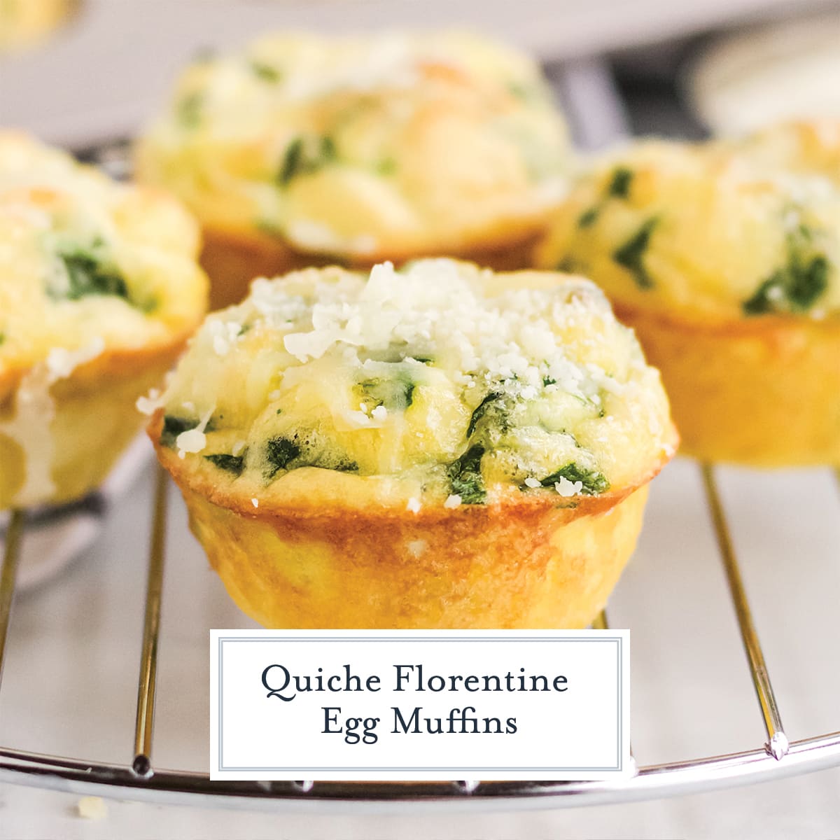 close up of quiche florentine muffin with Parmesan cheese on top 