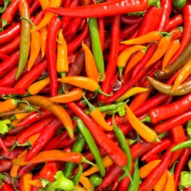 pile of colorful hot peppers