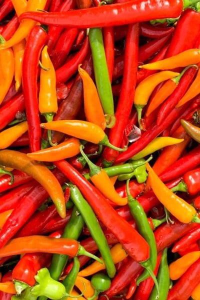 pile of colorful hot peppers