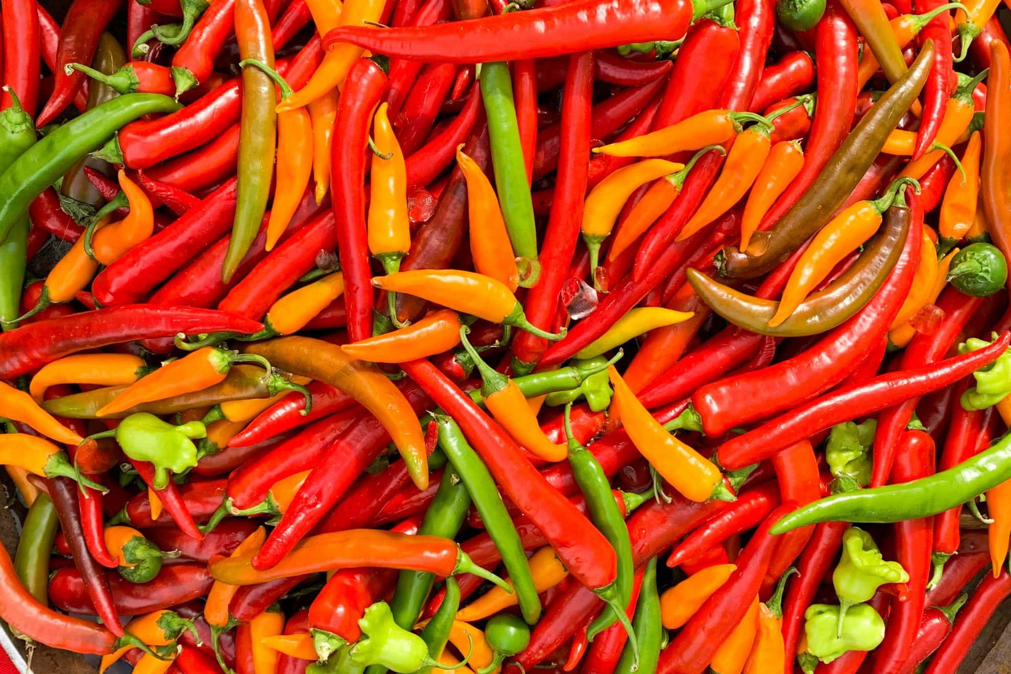 pile of colorful hot peppers