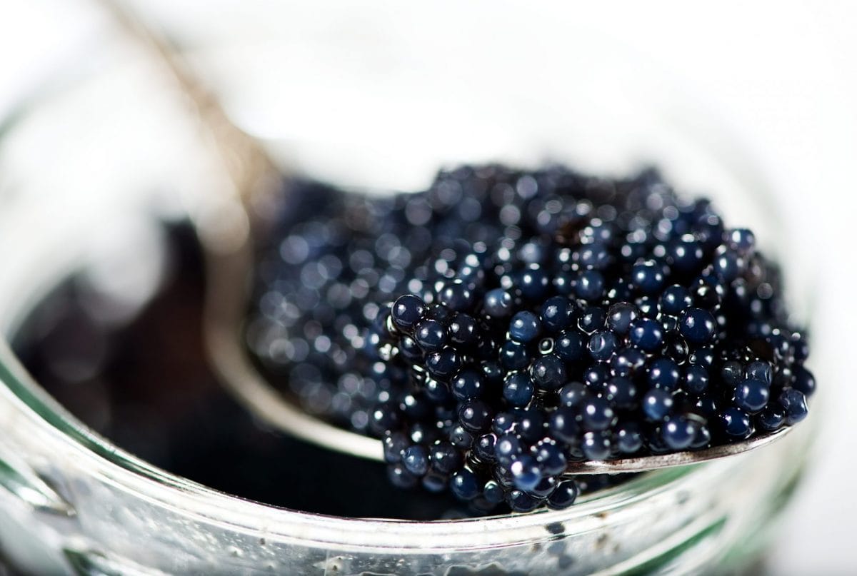 spoon of black caviar 