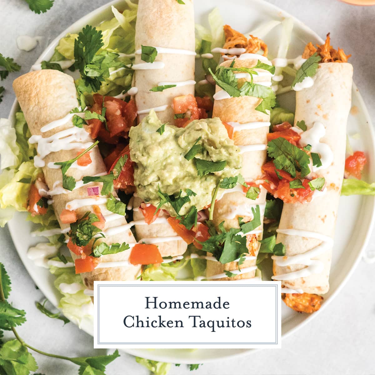 overhead of taquitos with toppings on a white plate
