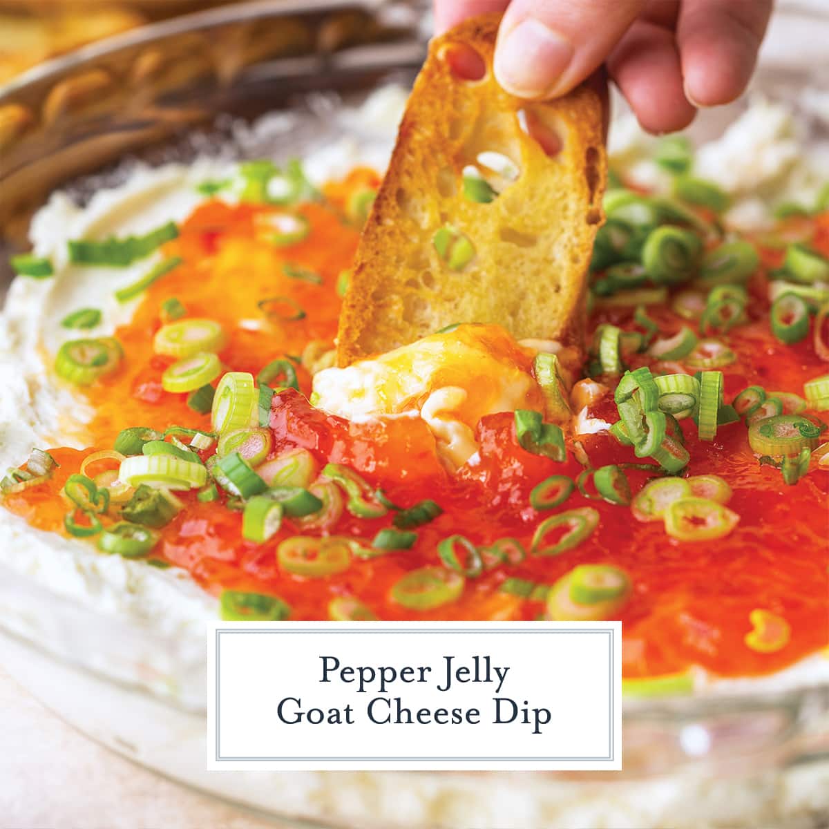 crostini dipping into goat cheese dip