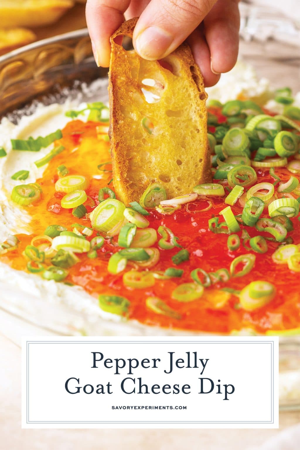 Baked Goat Cheese Dip Hot Goat Cheese Appetizer