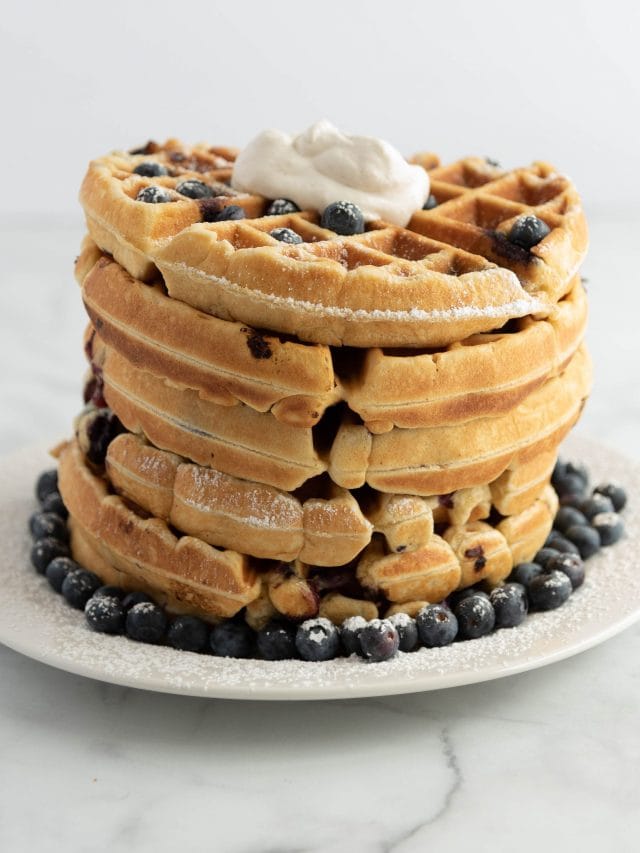 Life Changing Blueberry Waffles