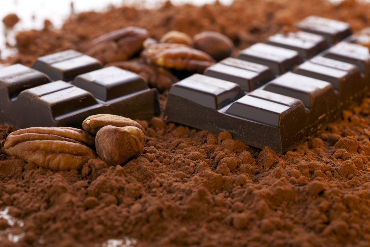 cocoa powder with chocolate bars