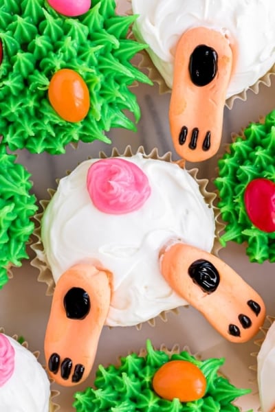 bunny butt cupcake