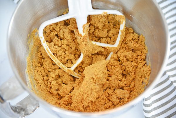 molasses cookie dough