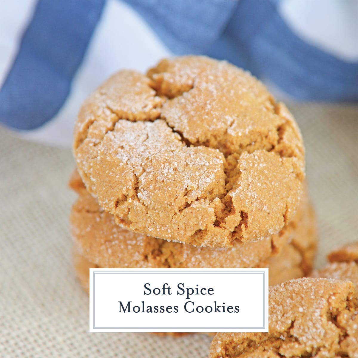 close up of sugar coated molasses cookie