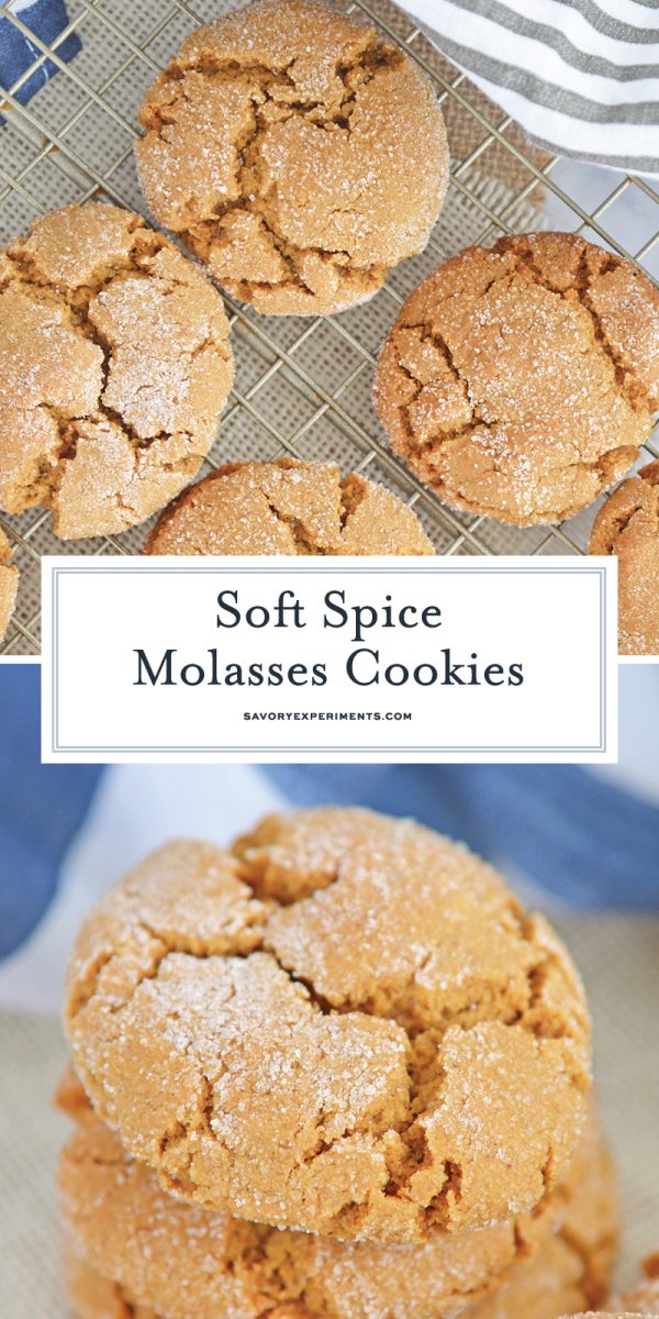 soft molasses cookies for pinterest 
