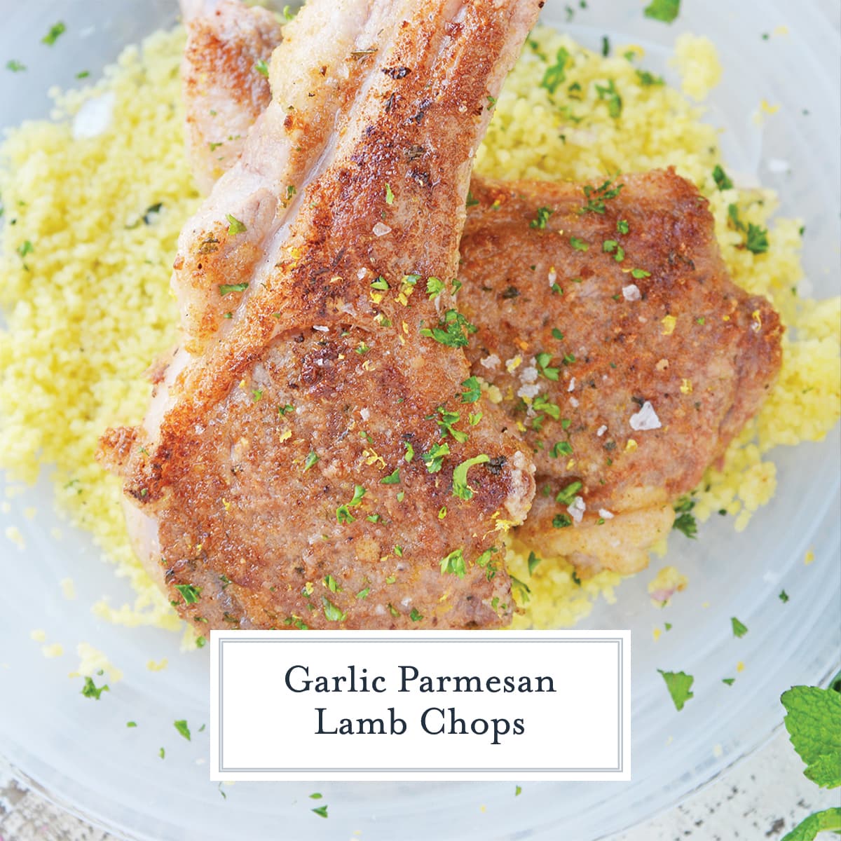 close up of parmesan crusted lamb chops 