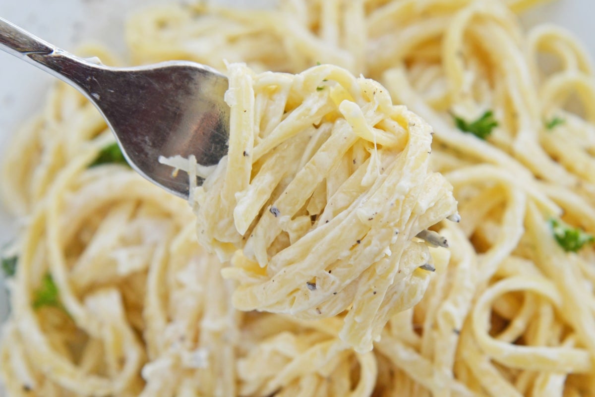 fork twirling creamy linguine recipe 