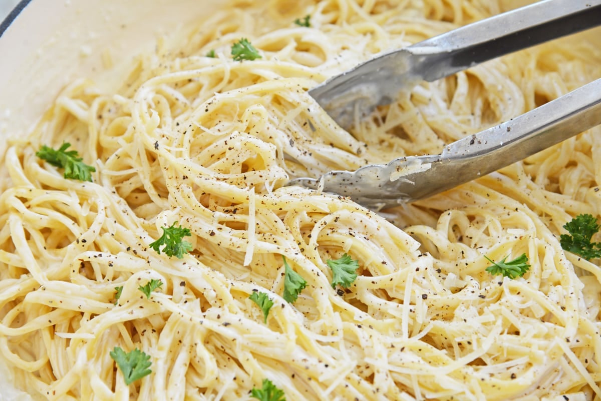 close up of pasta in cream sauce with parsley 