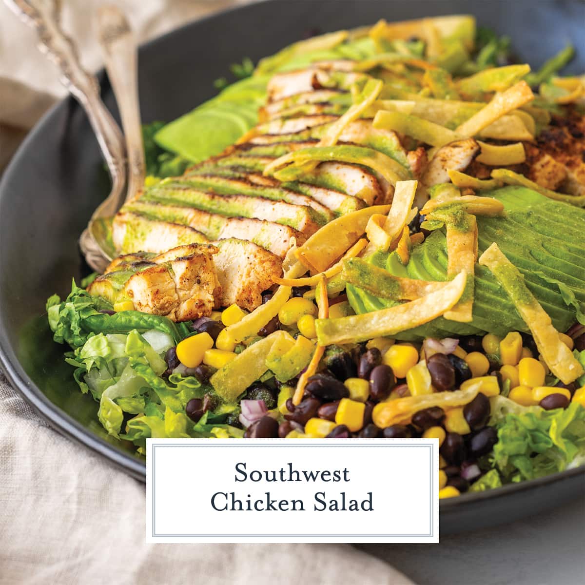 angle close up of southwest chicken salad with avocado