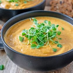 close up butternut squash soup