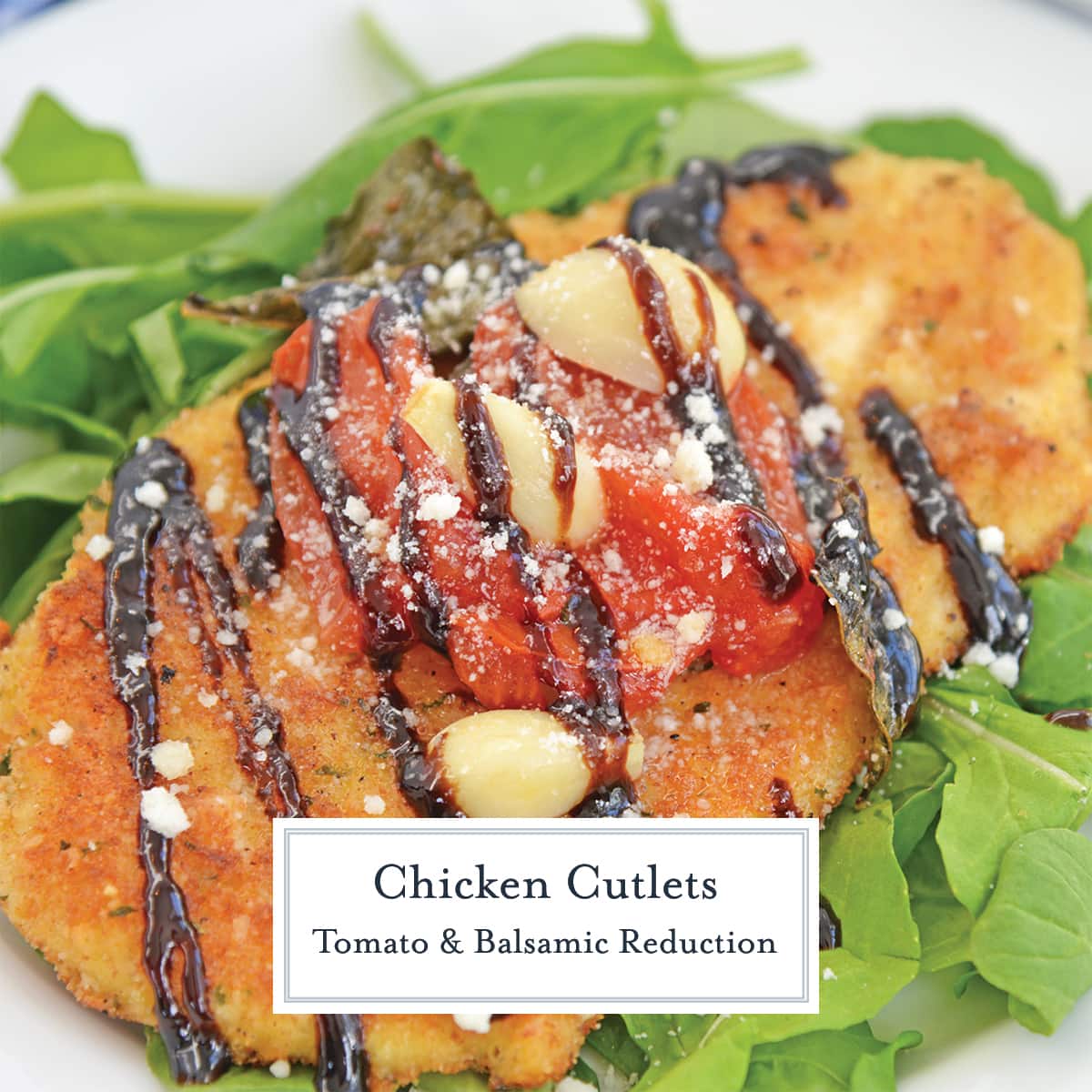 close up of chicken cutlet with roasted tomatoes and balsamic sauce 