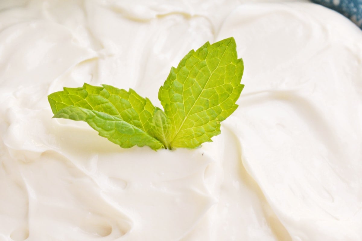 close up of mint leaves in bowl of fruit dip with cream cheese 