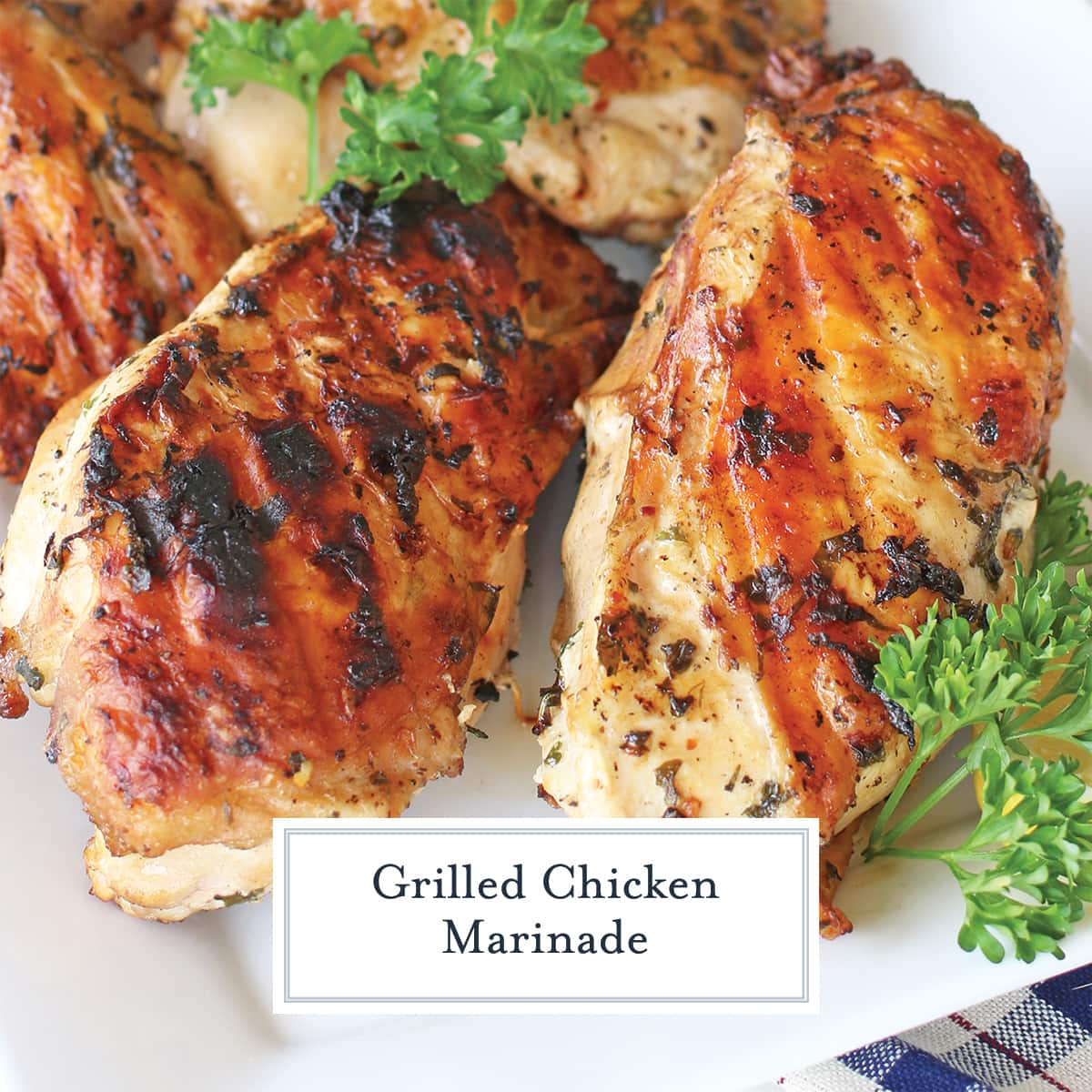 close up of grilled chicken with char and parsley