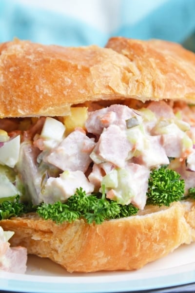 angle of ham salad sandwich