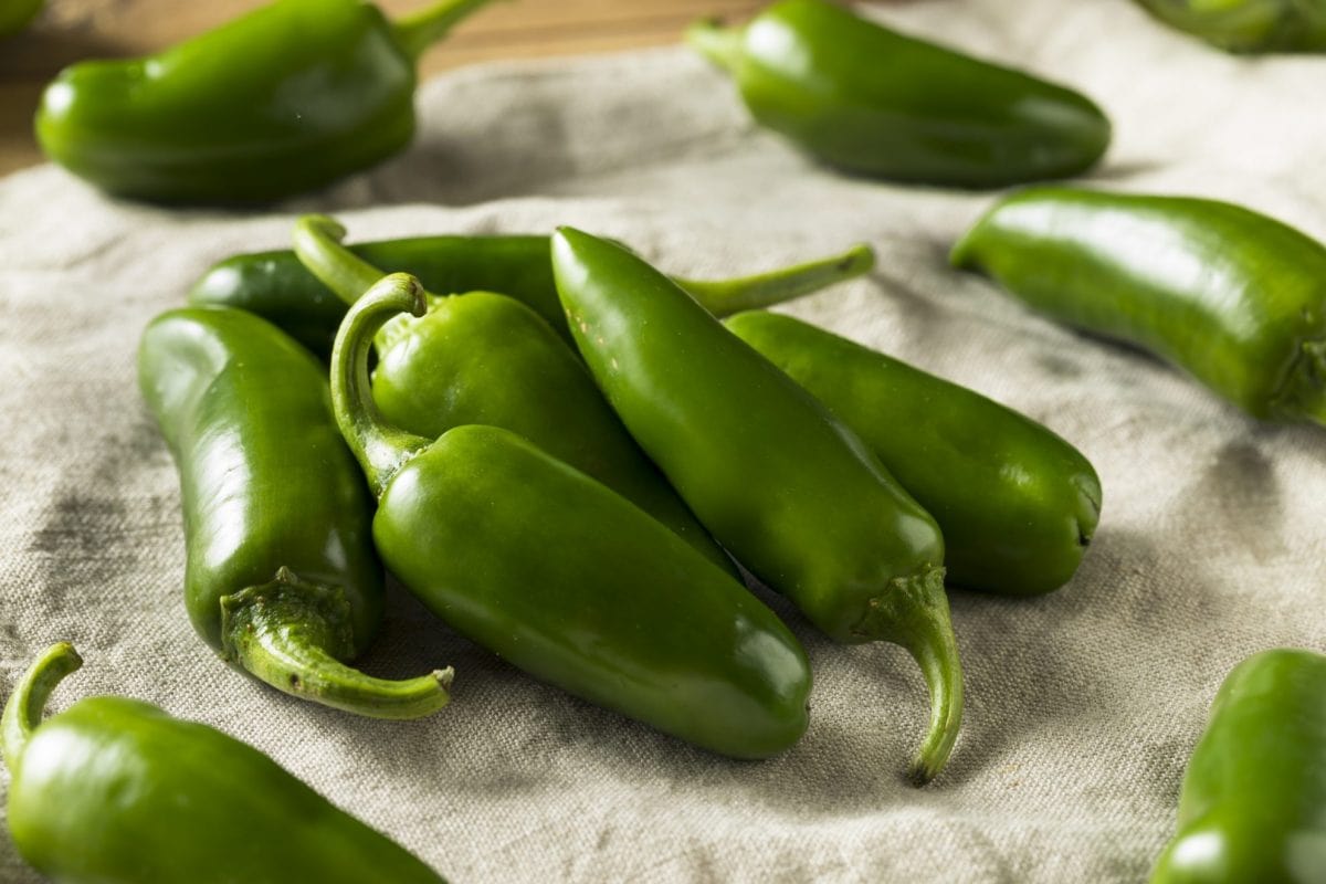 pile of fresh jalapenos 