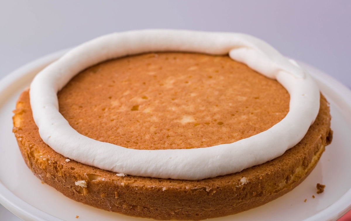 ring of icing around layer of cake