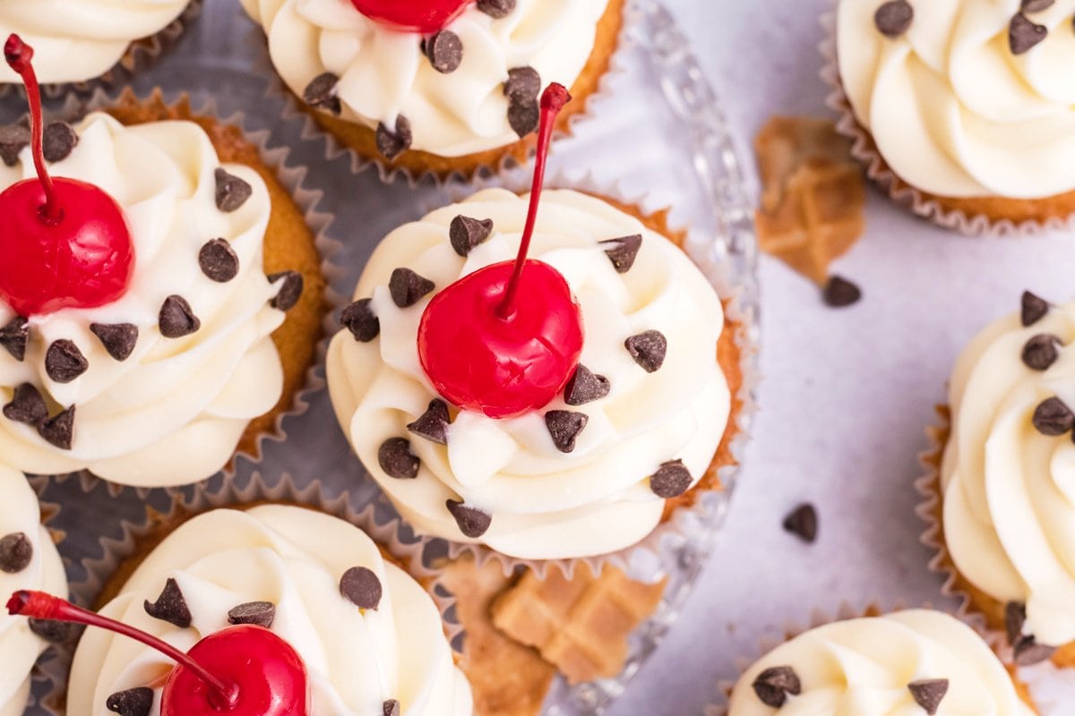 overhead of cream cheese frosted cupcakes 