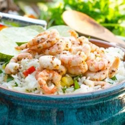 straight on shot of blue bowl of honey mustard lime shrimp