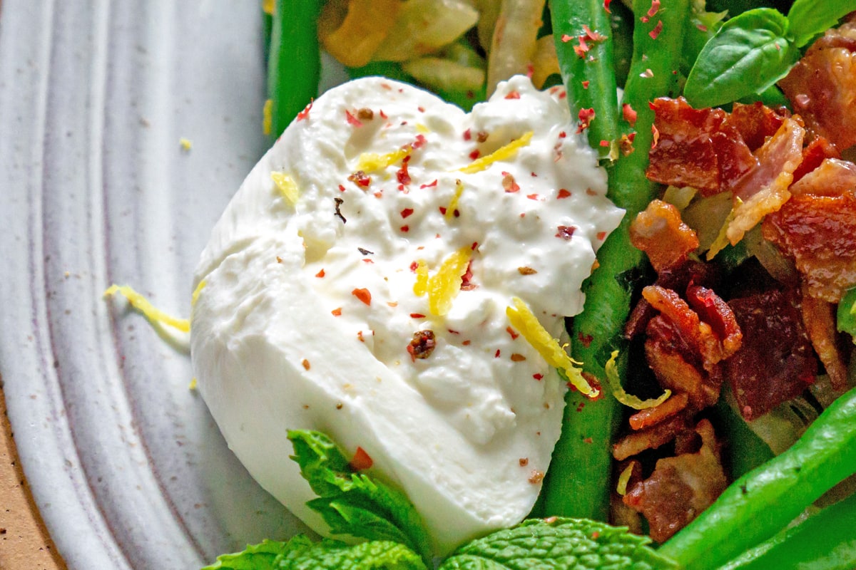 close up of burrata 