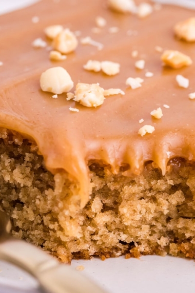 slice of peanut butter cake with frosting