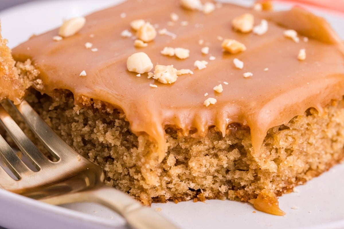 slice of peanut butter cake with frosting