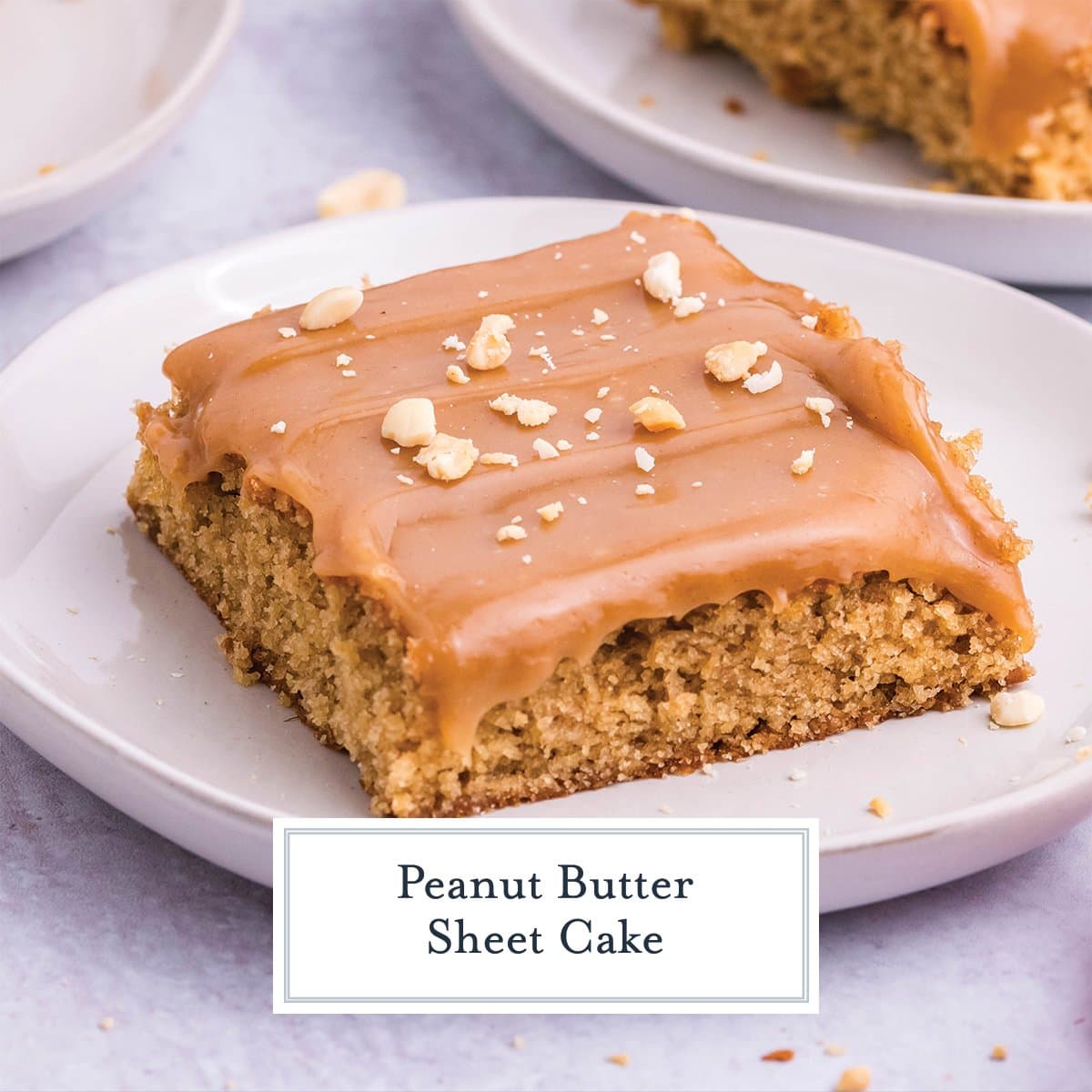 angle of slice of peanut cake with peanut topping