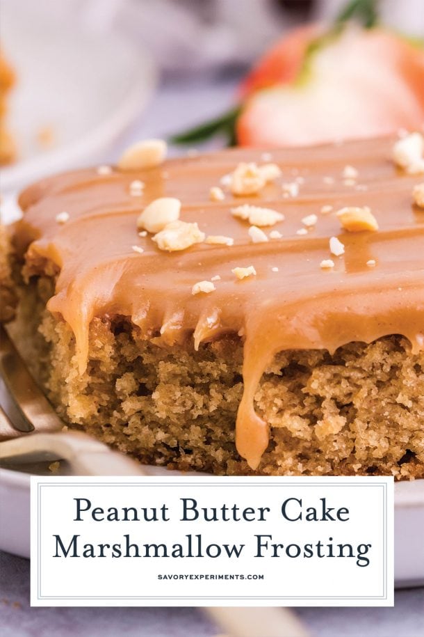 BEST Peanut Butter Cake w/ Marshmallow Frosting (Sheet Cake)