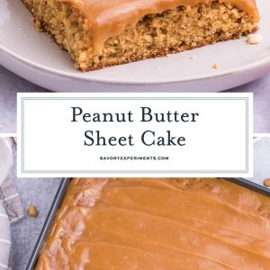 peanut butter cake recipe for pinterest