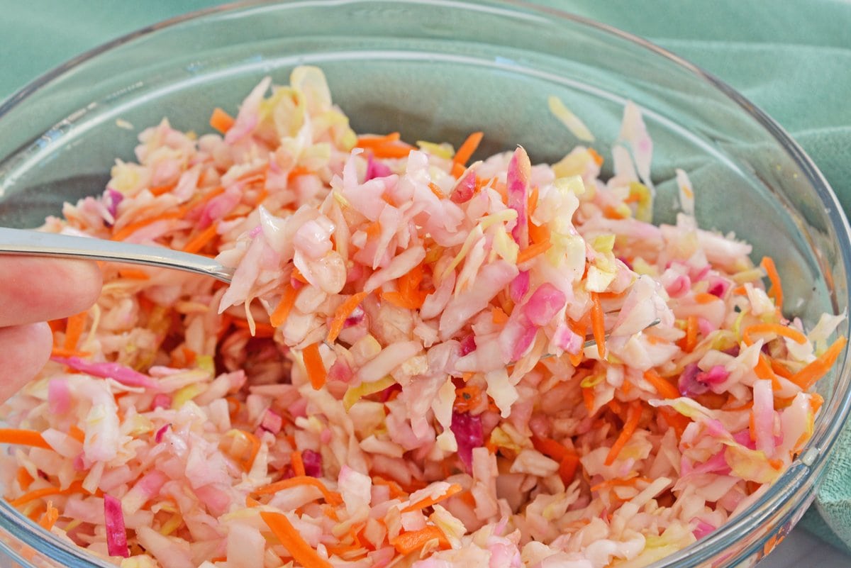 fork full of vinegar slaw recipe