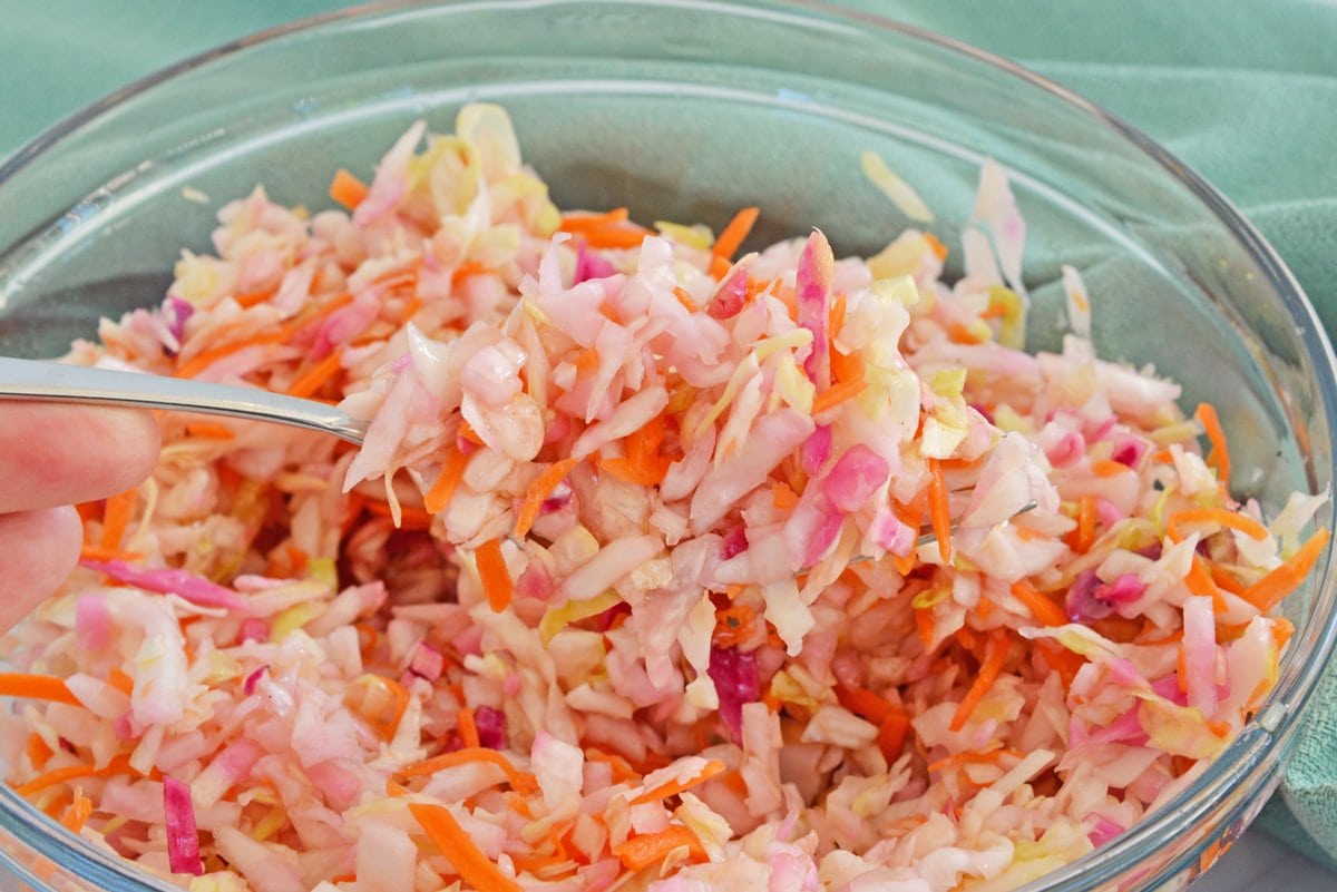 fork full of vinegar slaw recipe 