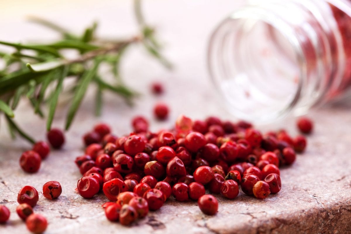 pink peppercorns on a salt block 