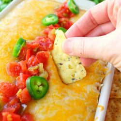 chip dipping into jalapeno popper bean dip