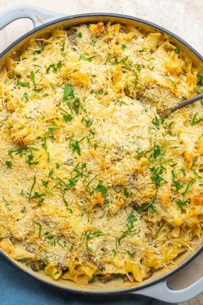 overhead of chicken tetrazzini casserole with spoon