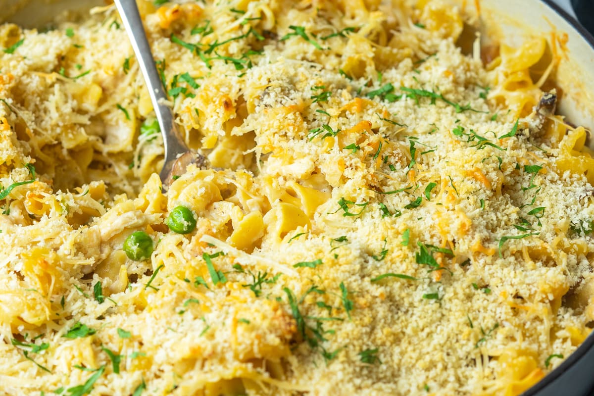 spoon digging into cheesy chicken tetrazzini 