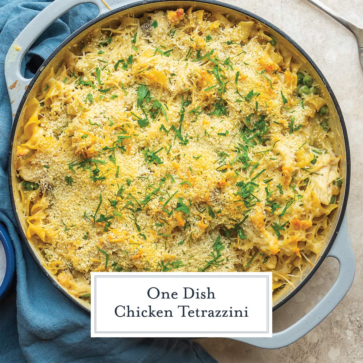 overhead of chicken tetrazzini recipe with parsley garnish 