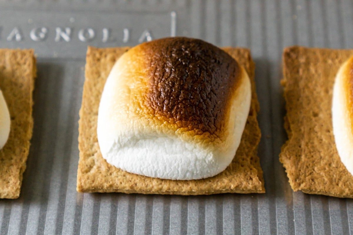 close up of charred marshmallow 