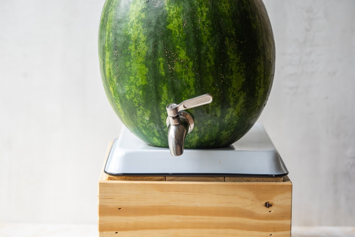 how to make a keg out of a watermelon 