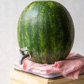 watermelon keg on a pink napkin