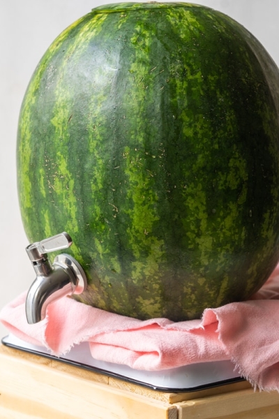 watermelon keg on a pink napkin