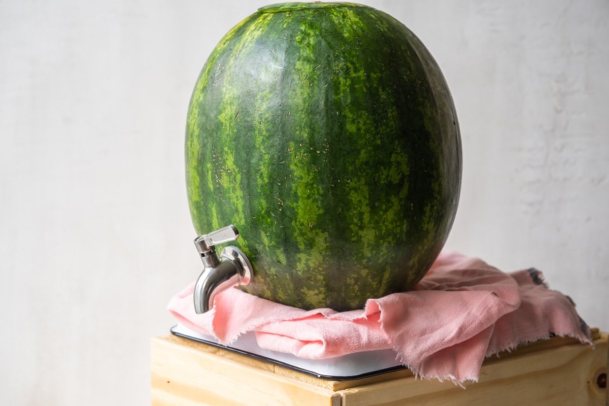 watermelon keg sitting on a pink napkin stand 